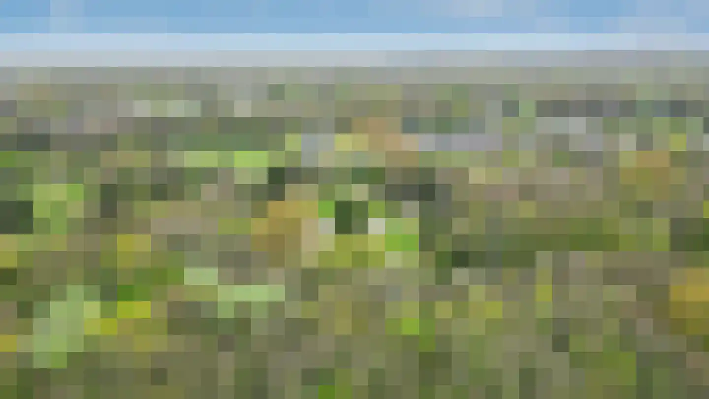 Keizer Maximiliaanlaan 26 Den Haag thumbnail 65