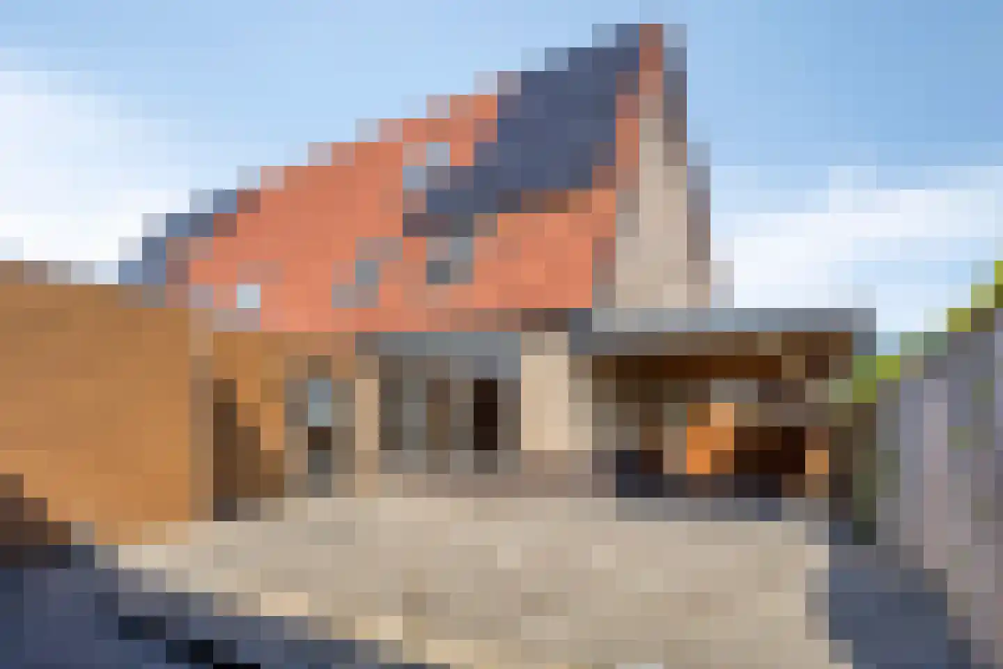 Keizer Ottostraat 10 Borculo thumbnail 4