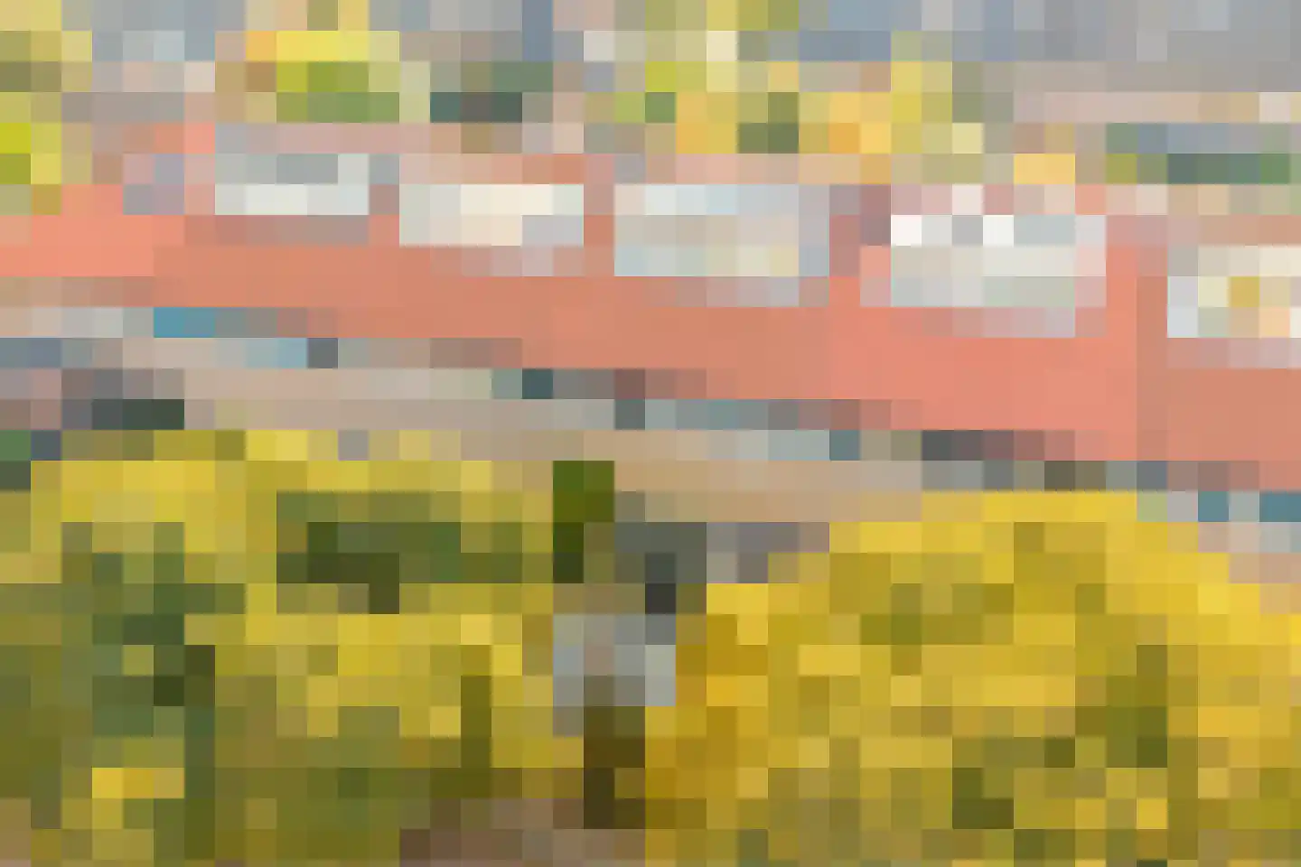 Keizer Ottostraat 113 Bussum thumbnail 34