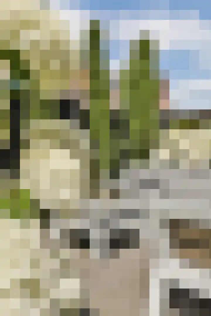 Keizer Ottostraat 66 Bussum thumbnail 21