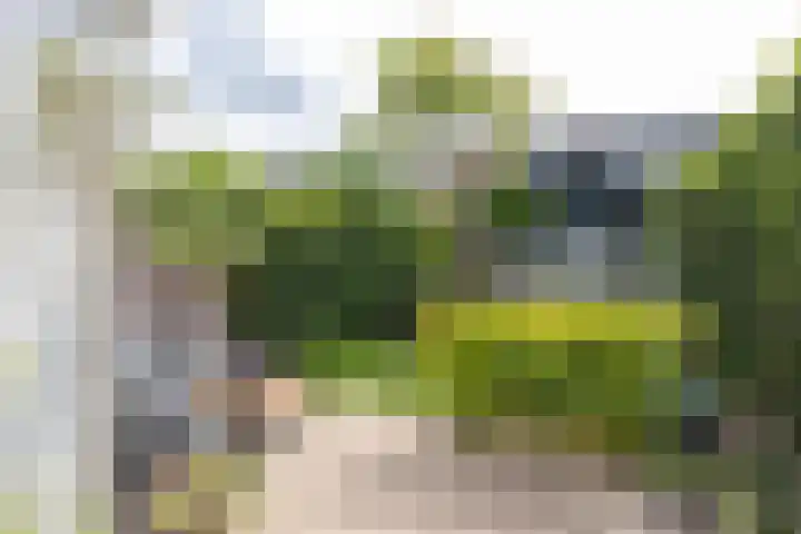 Keizer Ottostraat 87 Bussum thumbnail 31
