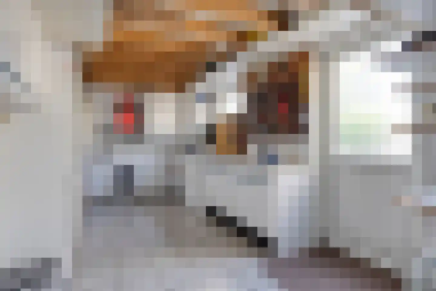 Keizer Ottostraat 9 Budel thumbnail 30