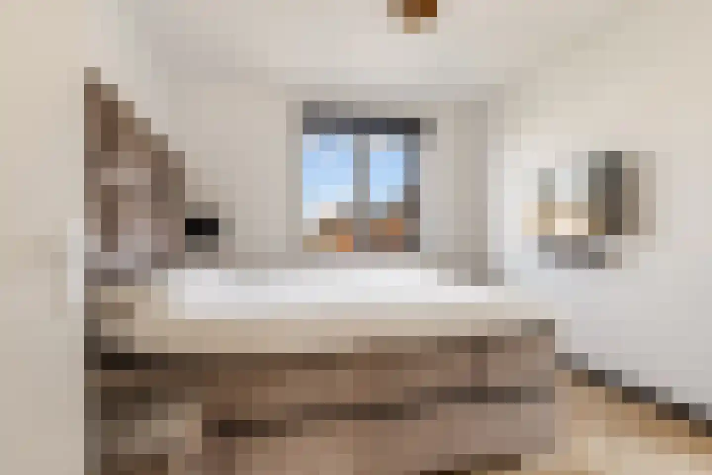 Keizerarendlaan 19 Almere thumbnail 31