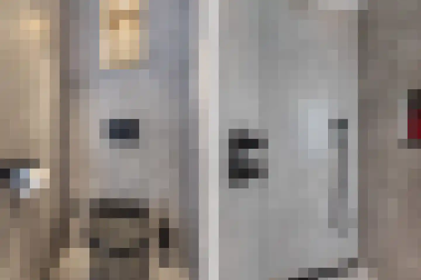 Keizerarendlaan 5 Almere thumbnail 37