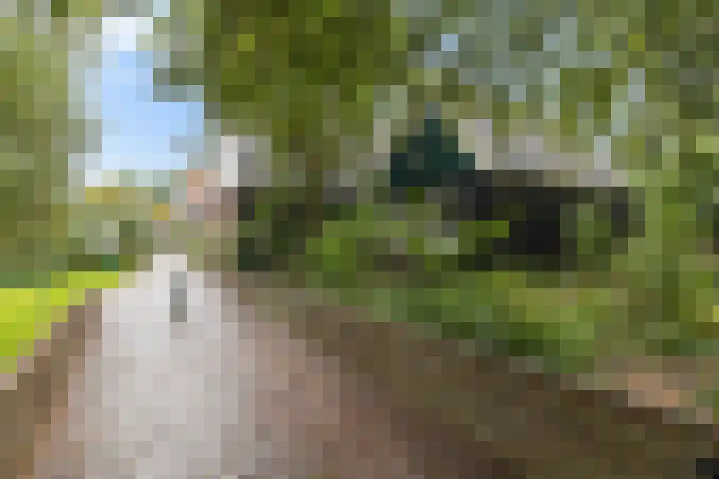 Keizerbuurt 2 De Rijp thumbnail 53