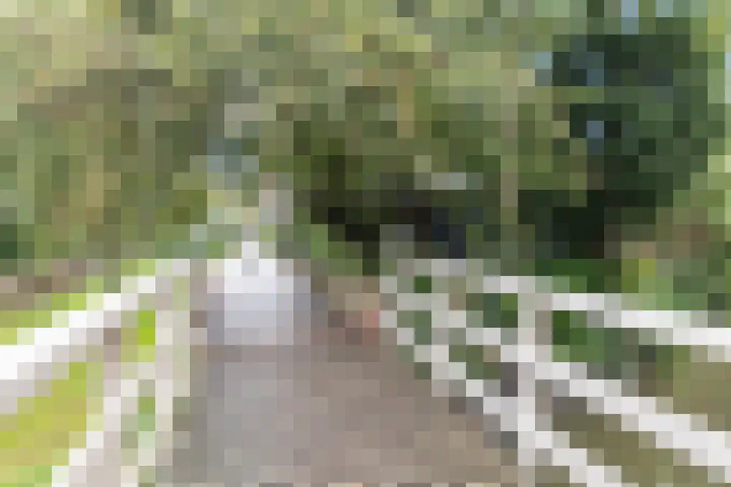 Keizerbuurt 2 De Rijp thumbnail 54
