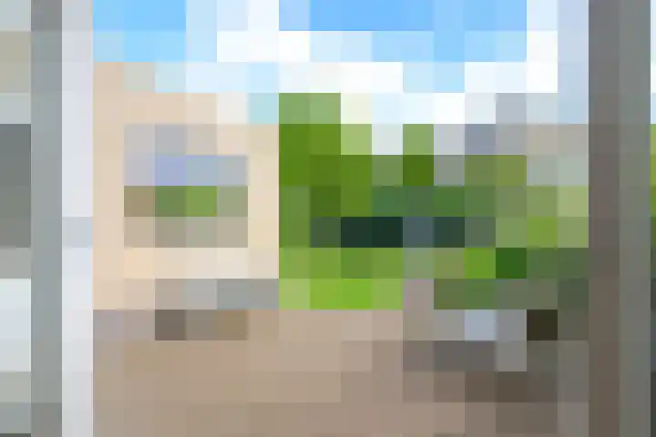 Keizerfazant 21 Heerhugowaard thumbnail 13