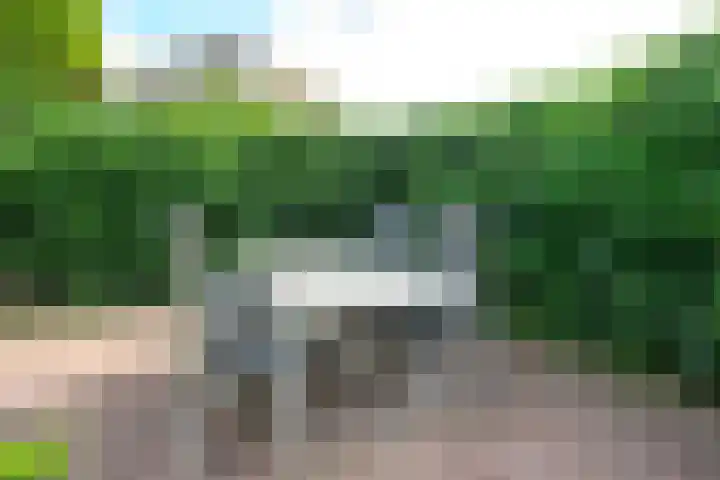 Keizerfazant 21 Heerhugowaard thumbnail 14
