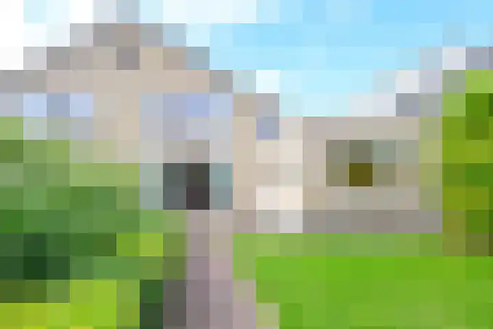 Keizerfazant 21 Heerhugowaard thumbnail 15