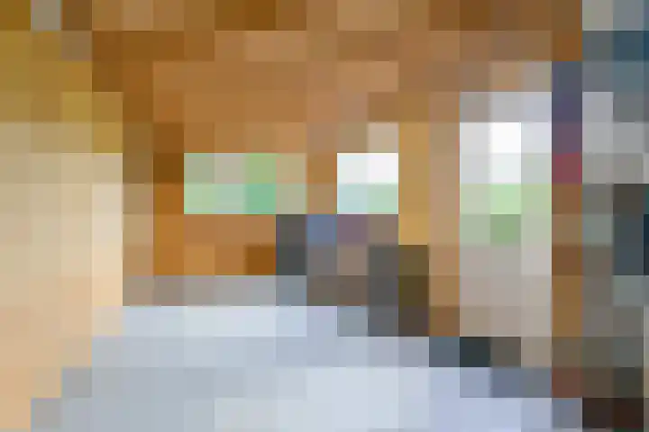 Keizerfazant 21 Heerhugowaard thumbnail 17