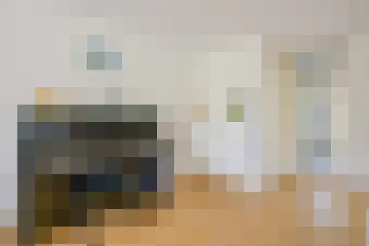Keizerfazant 21 Heerhugowaard thumbnail 18
