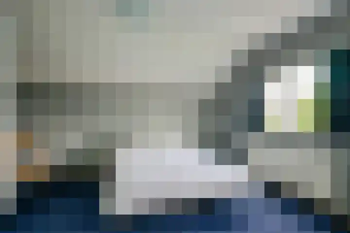 Keizerfazant 21 Heerhugowaard thumbnail 20