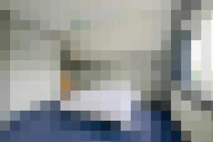 Keizerfazant 21 Heerhugowaard thumbnail 21