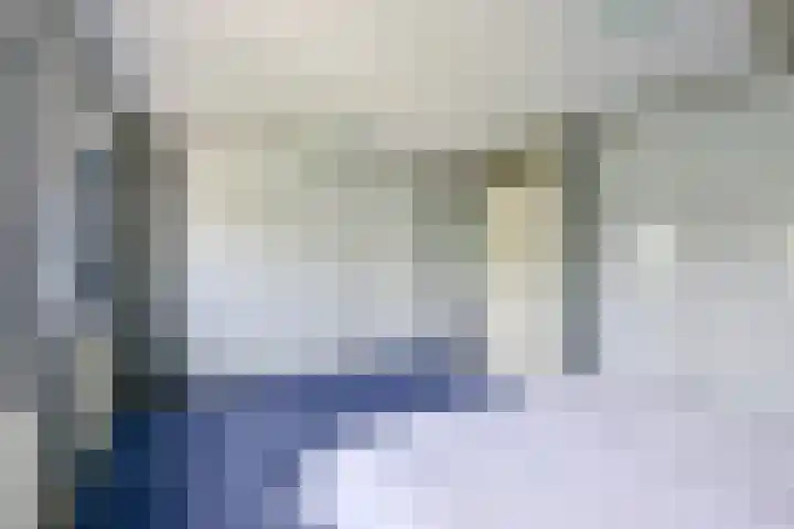 Keizerfazant 21 Heerhugowaard thumbnail 22