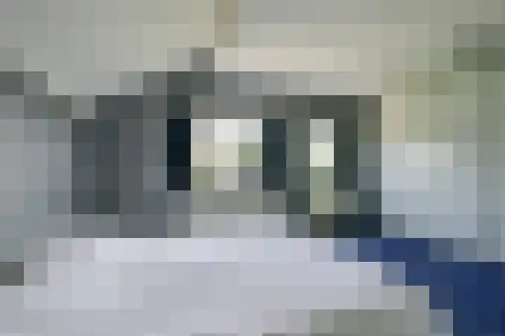 Keizerfazant 21 Heerhugowaard thumbnail 23