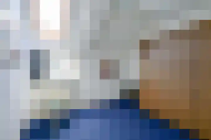 Keizerfazant 21 Heerhugowaard thumbnail 24