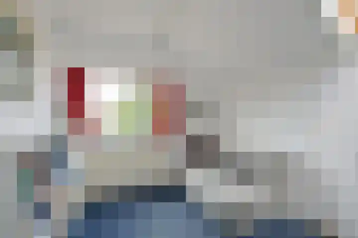 Keizerfazant 21 Heerhugowaard thumbnail 25