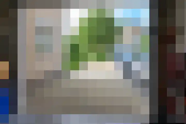 Keizerfazant 21 Heerhugowaard thumbnail 37