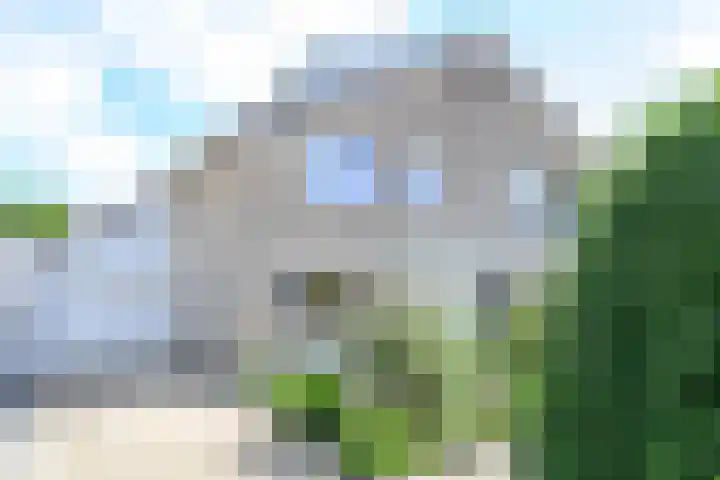 Keizerfazant 21 Heerhugowaard thumbnail 39