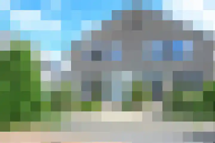 Keizerfazant 21 Heerhugowaard thumbnail 40