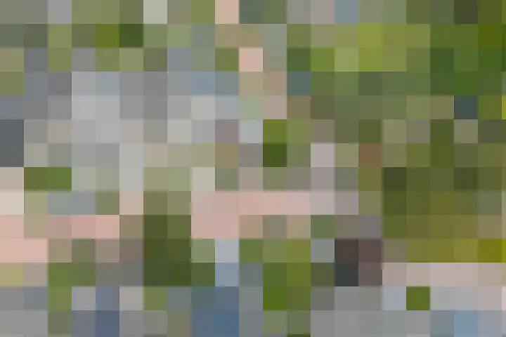Keizerfazant 21 Heerhugowaard thumbnail 41