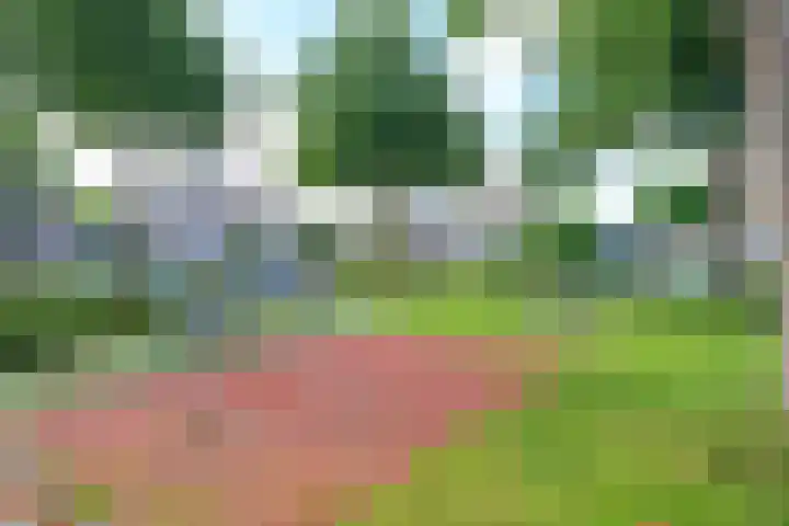 Keizerfazant 21 Heerhugowaard thumbnail 43