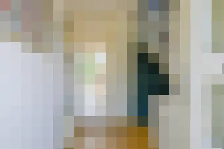 Keizerfazant 21 Heerhugowaard thumbnail 5