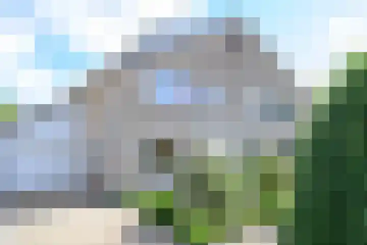 Keizerfazant 21 Heerhugowaard thumbnail 59