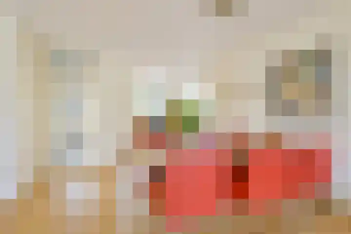 Keizerfazant 21 Heerhugowaard thumbnail 8