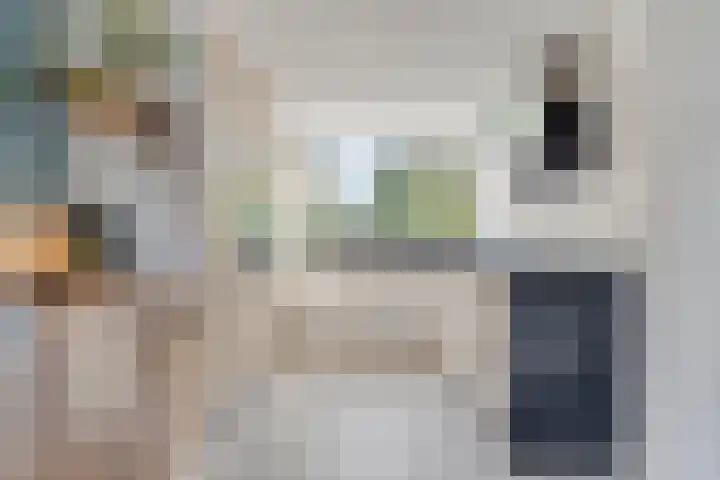 Keizerfazant 26 Heerhugowaard thumbnail 10