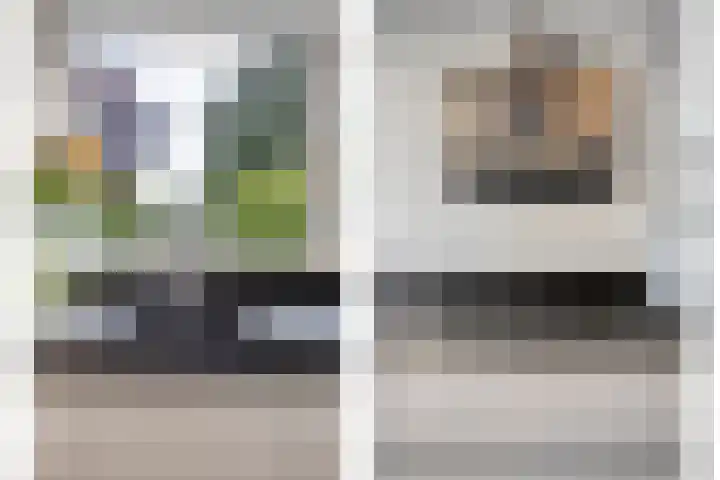 Keizerfazant 26 Heerhugowaard thumbnail 11