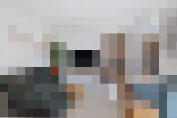 Keizerfazant 26 Heerhugowaard thumbnail 13