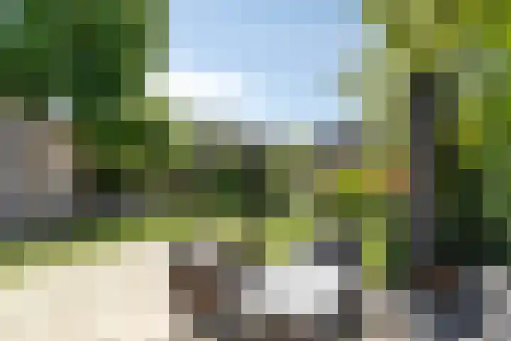 Keizerfazant 26 Heerhugowaard thumbnail 17