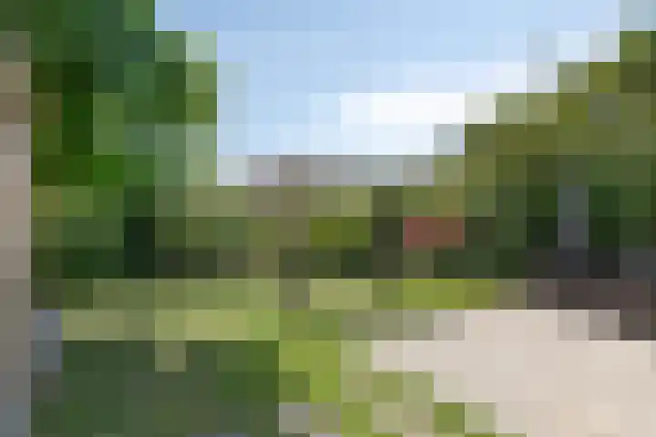 Keizerfazant 26 Heerhugowaard thumbnail 18