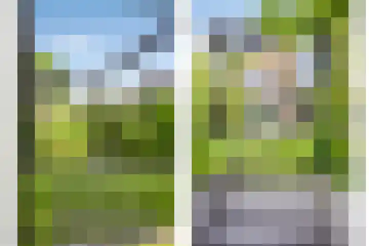 Keizerfazant 26 Heerhugowaard thumbnail 19