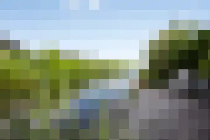 Keizerfazant 26 Heerhugowaard thumbnail 20