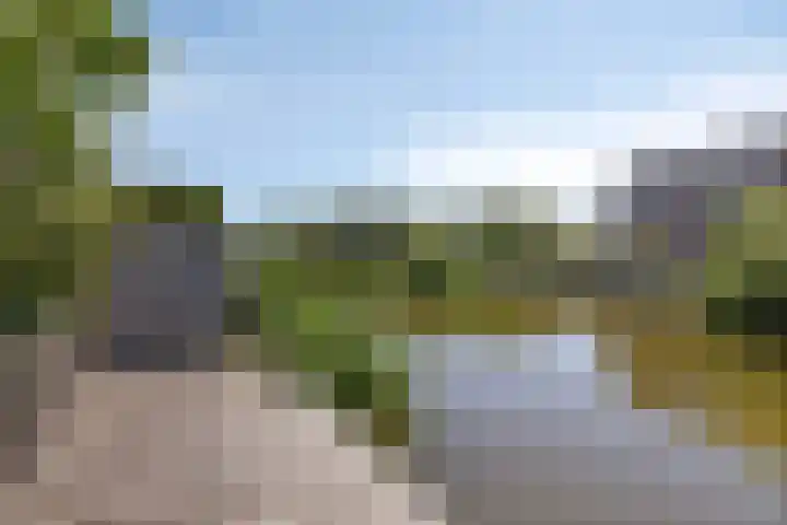 Keizerfazant 26 Heerhugowaard thumbnail 21