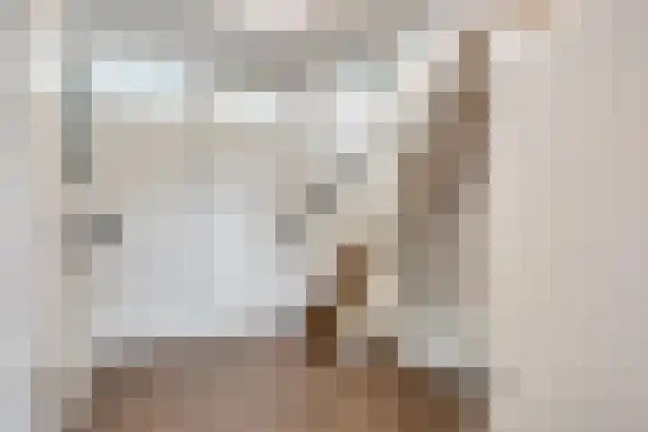 Keizerfazant 26 Heerhugowaard thumbnail 26