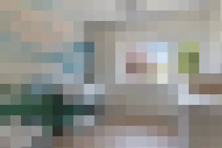 Keizerfazant 26 Heerhugowaard thumbnail 29