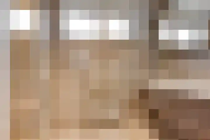 Keizerfazant 26 Heerhugowaard thumbnail 30