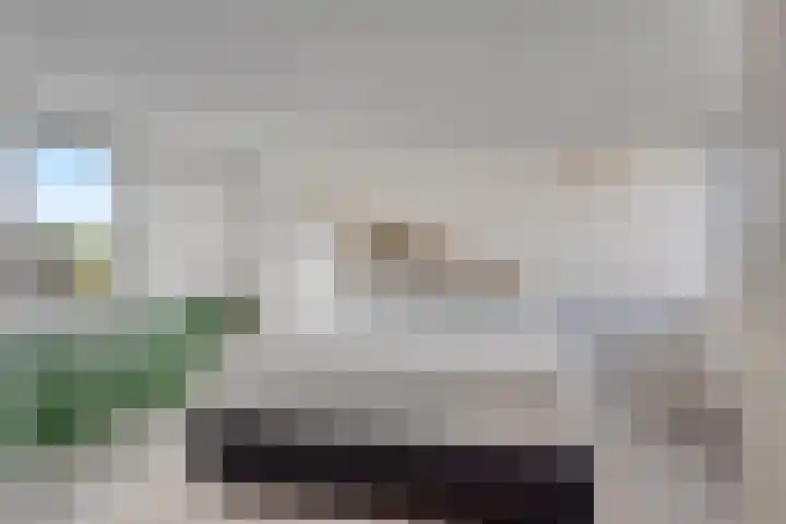 Keizerfazant 26 Heerhugowaard thumbnail 33