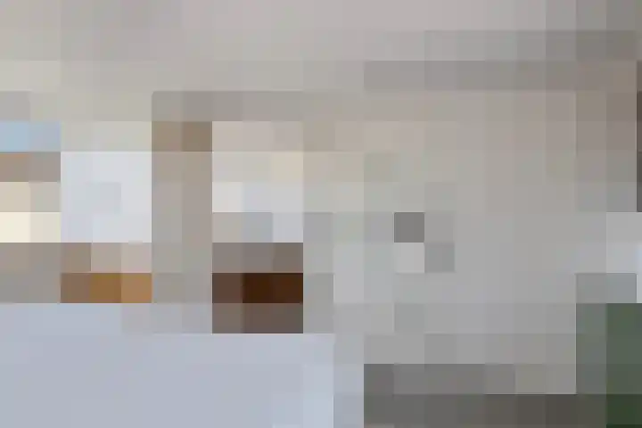 Keizerfazant 26 Heerhugowaard thumbnail 34