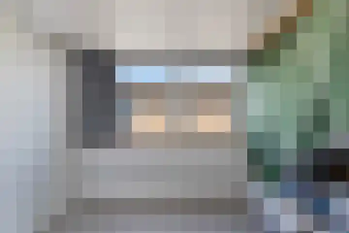 Keizerfazant 26 Heerhugowaard thumbnail 37