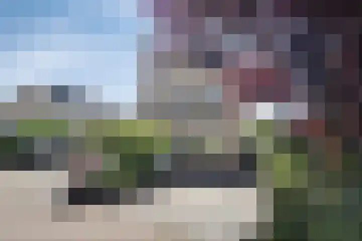 Keizerfazant 26 Heerhugowaard thumbnail 39