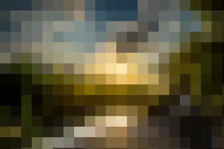 Keizerfazant 26 Heerhugowaard thumbnail 4
