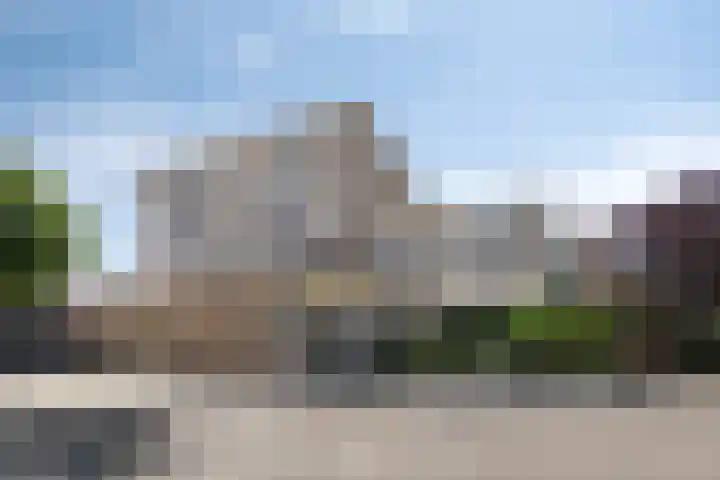 Keizerfazant 26 Heerhugowaard thumbnail 40