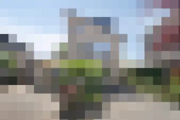 Keizerfazant 26 Heerhugowaard thumbnail 7