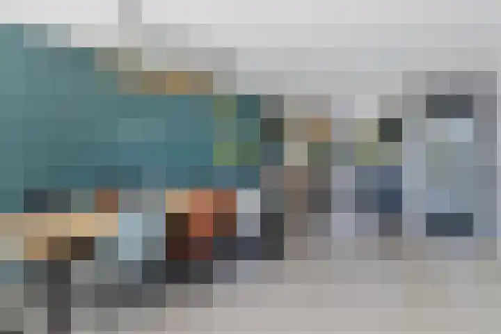 Keizerfazant 26 Heerhugowaard thumbnail 9