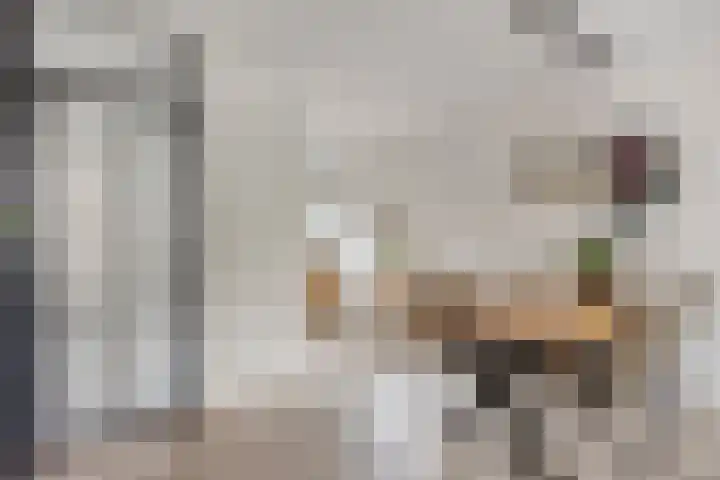 Keizerfazant 9 Heerhugowaard thumbnail 11