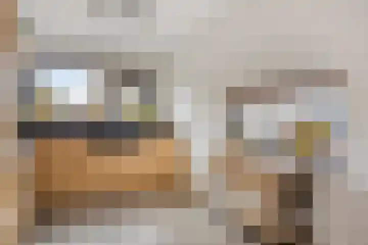 Keizerfazant 9 Heerhugowaard thumbnail 13